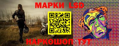 амф Гусев
