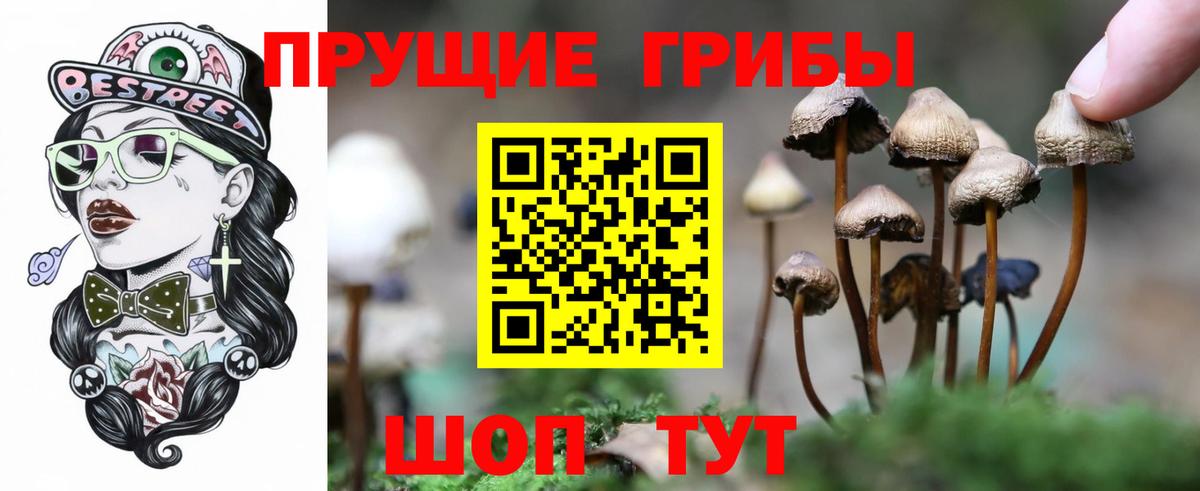 Псилоцибиновые грибы ЛСД Всеволожск